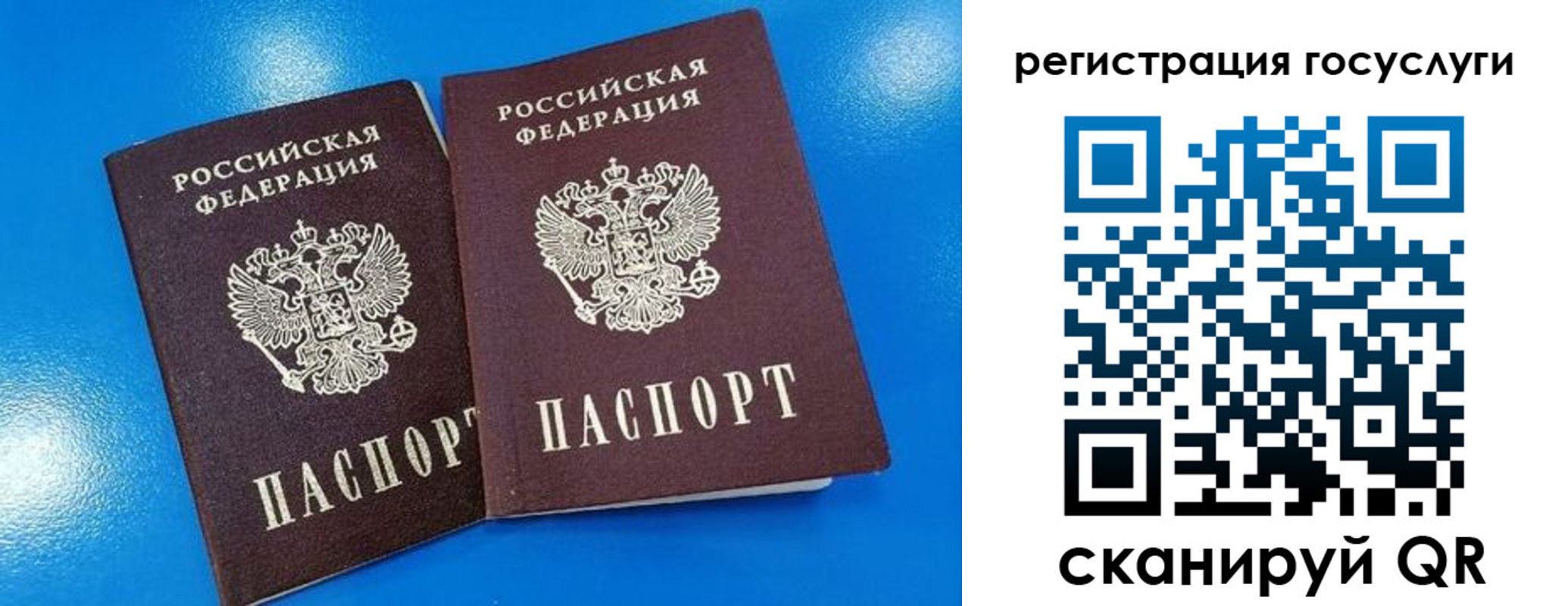 регистрация в Кандалакше
